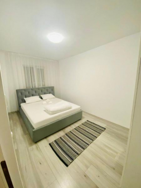 Very Big and Lovely apartment near Spitalul Judetean EN7